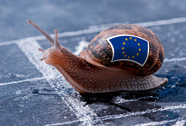 lucialeon-reticlaje-europass-course-training-teachers-snail-with-eu-flag